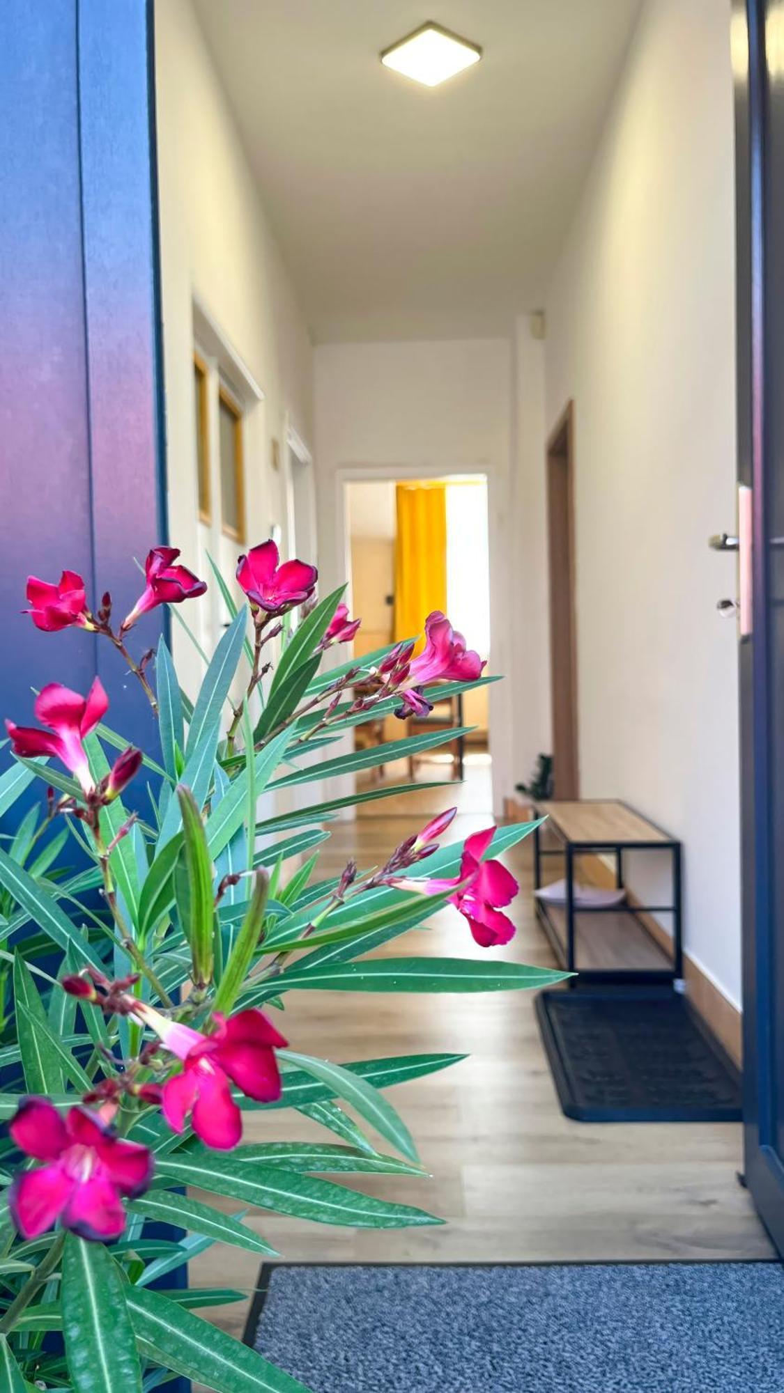 Apartmany Svrcinky Liptowski Mikułasz Zewnętrze zdjęcie